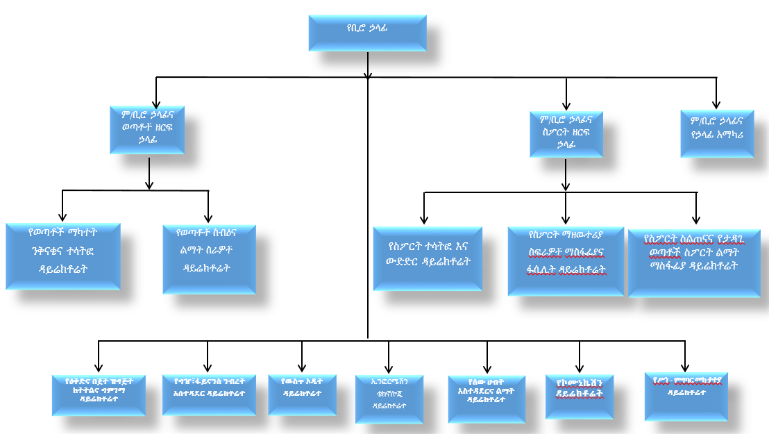 organogram